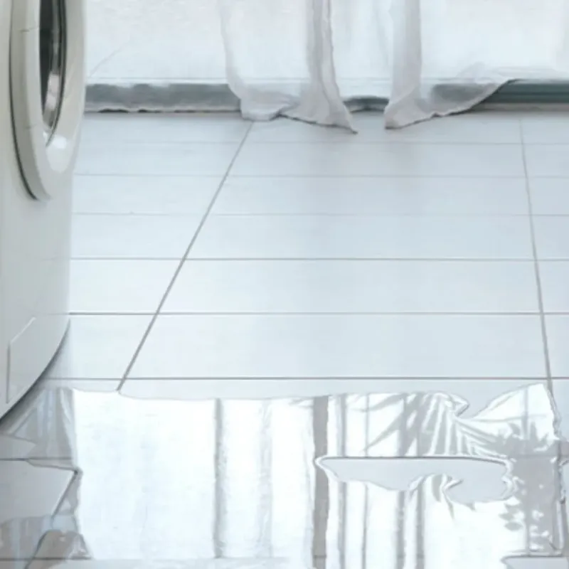 Appliance Leak Cleanup in Grainger County, TN