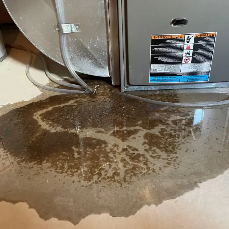 Pipe Burst and Leak Restoration in Grainger County, TN