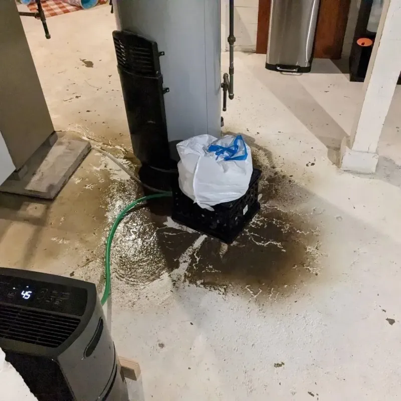 Sewage Backup Cleanup Service in Grainger County, TN